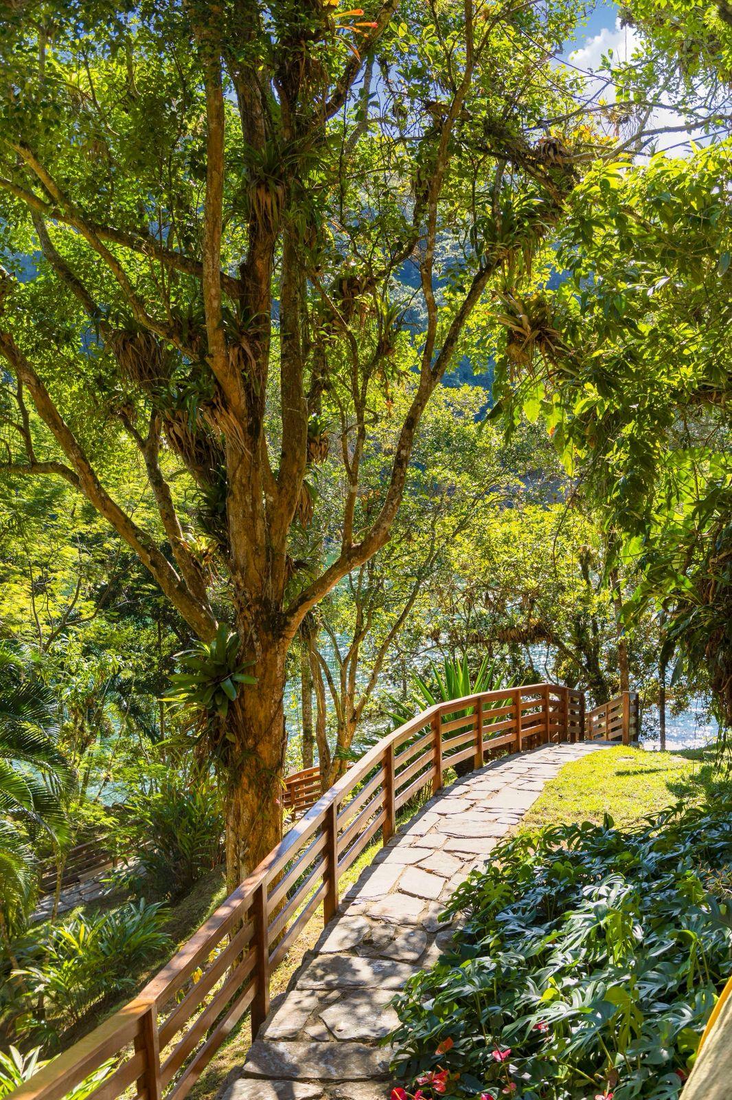Ilha do Japão — foto 10